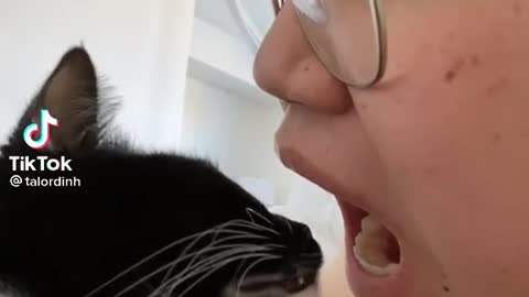 My Cat Tries To Kiss Me On Her Birthday