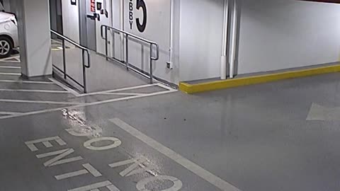 6080RHOBG3G305ANorthLobbyEntry_2021-01-06_20h20min03s800ms.mp4