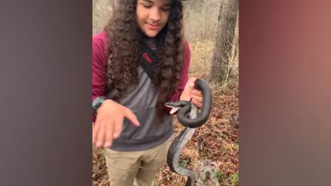 Snakes Can Be Cute Too - Funny Snake Video 2021 | Pets Town