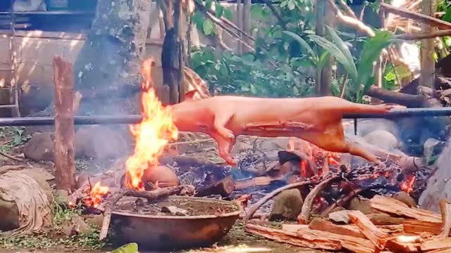 This is how you roast a pig| Roasted Pig🐷🐖