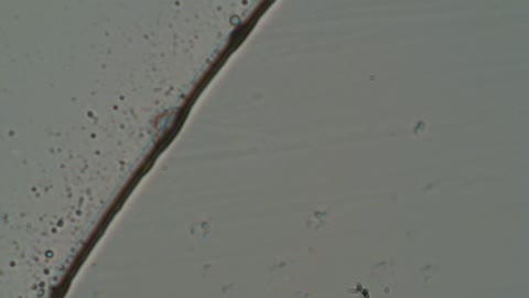 SAMPLE 4