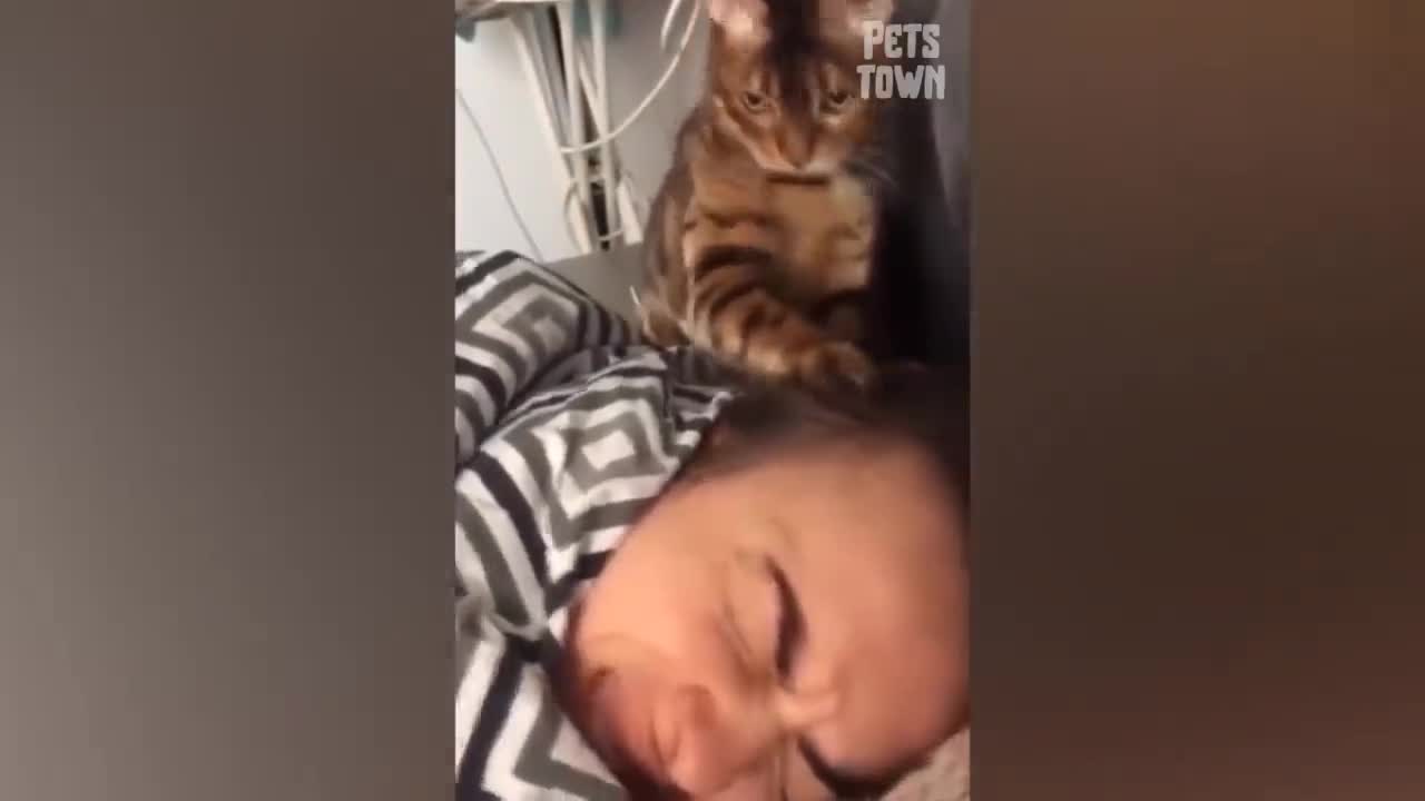 These Funny Pets Will Put A Smile On Your Face Pets Town