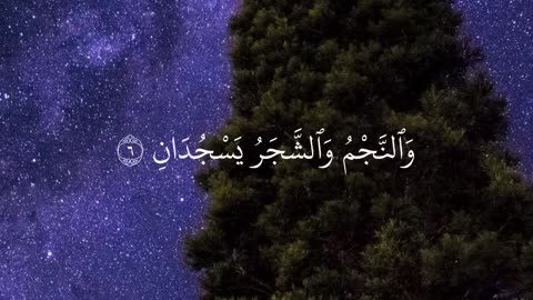 Beautiful recitation of Surah Al Rehman #quran #islam #trending