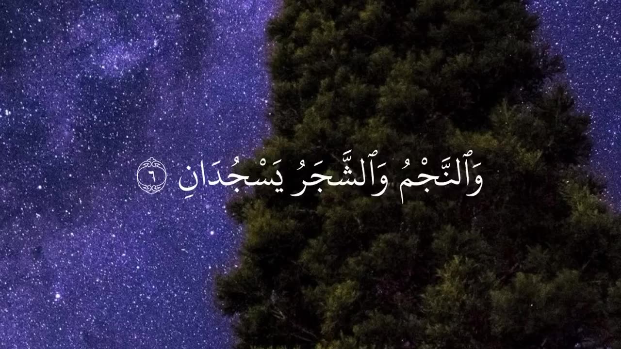 Beautiful recitation of Surah Al Rehman #quran #islam #trending