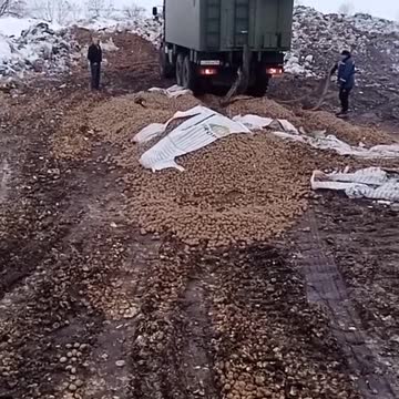 This Is How They Break The Food Chain Supply