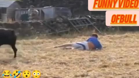 Funny animal video of Bull 🐂😂🤣