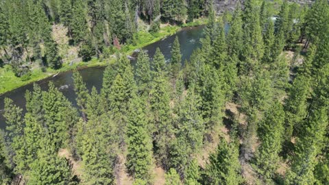 Deschutes National Forest