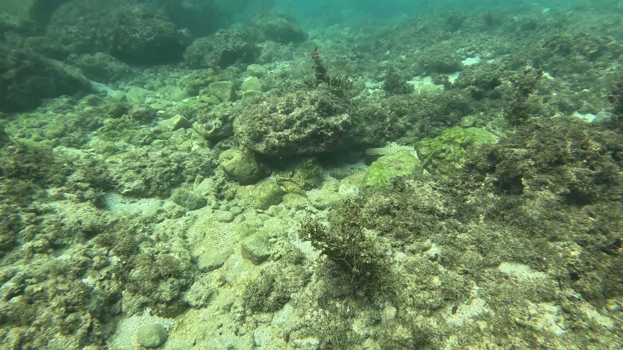 Snorkeling in the shallows before hitting the reef