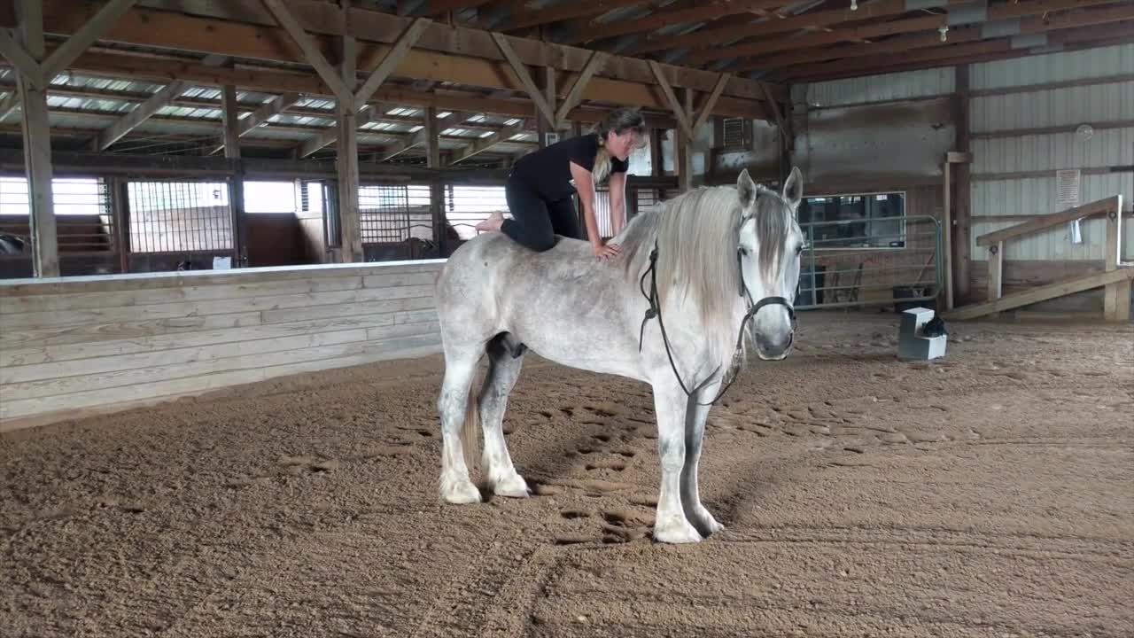 Horse Yoga Mounted Yoga Flow