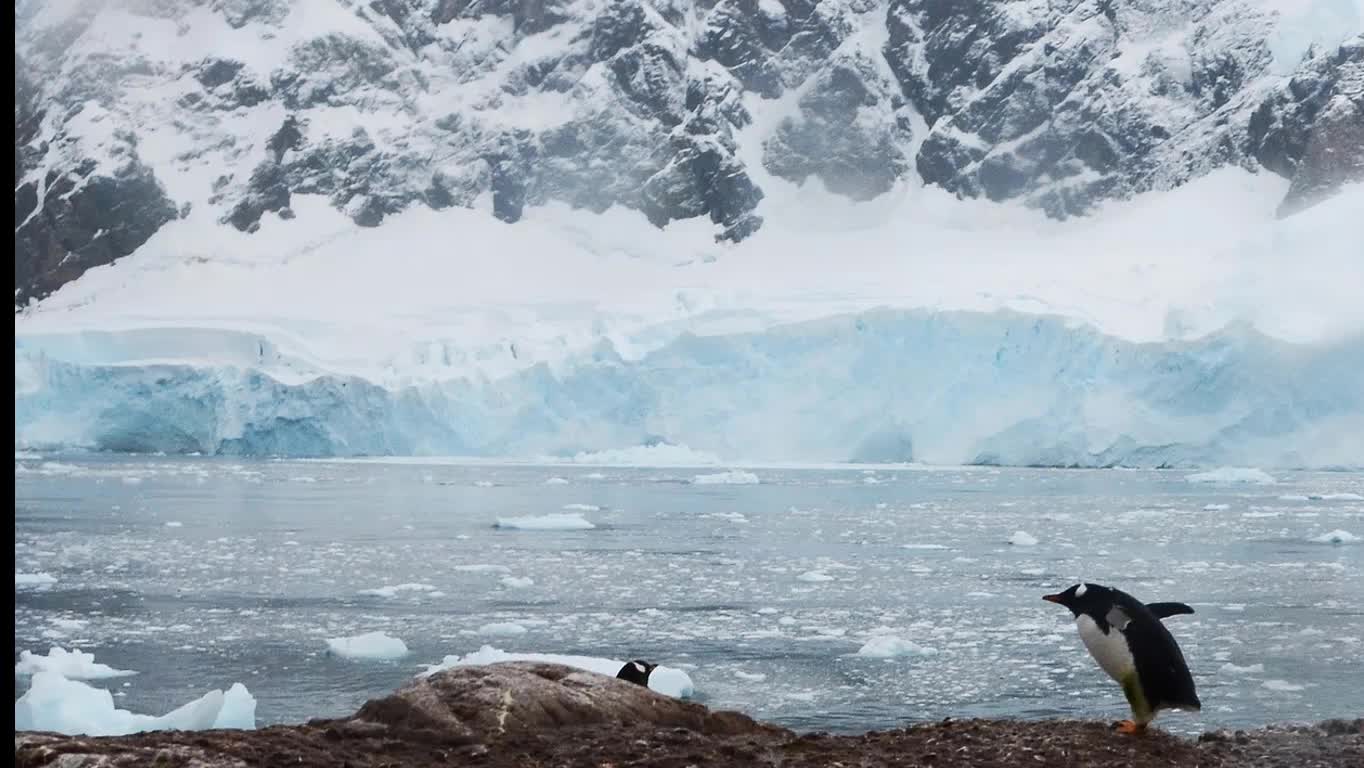 Antarctica ice continent