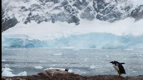 Antarctica ice continent