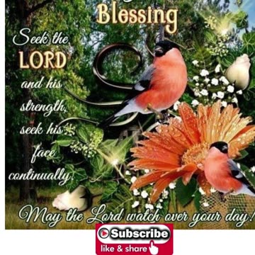 Morning Prayer to Seek the Lord #youtubeshorts #godslove #jesus #grace #mercy #faith #fyp #blessed