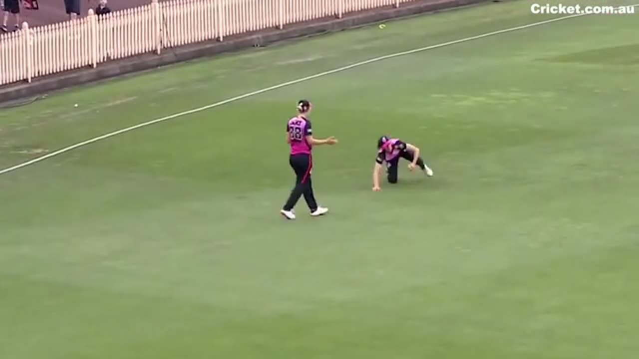 Sydney Sixers star Erin Burns snares a classic catch