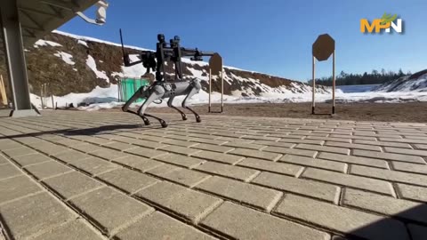 The Israeli military has procured robotic military dogs