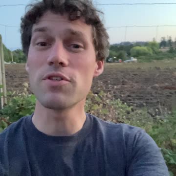 Why choose storm chasing? Twister - One Dumb Thing