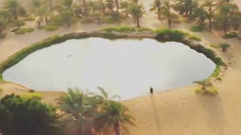 Check out the beautiful desert scene with a pool