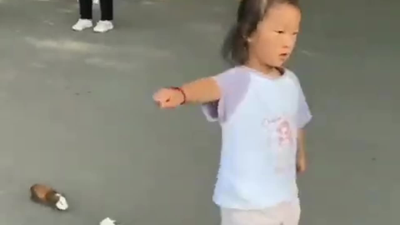 Funny Video