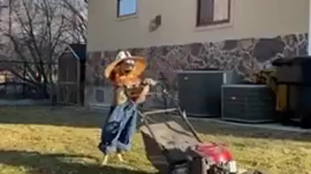 Great work 👏 | 🤣 Funniest 🐶 Dogs - Awesome Funny Pet Animals Videos