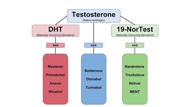 The Vectors Of Sports Performance - DHT Family