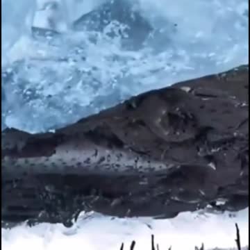 Wow our planet is amazing see why