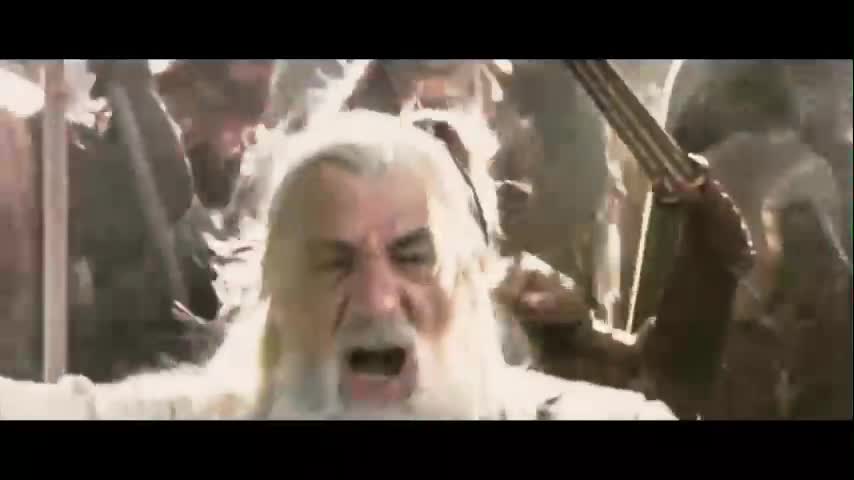 TO THE KING - LOTR