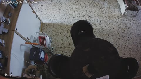 hallmid midnight 20220302