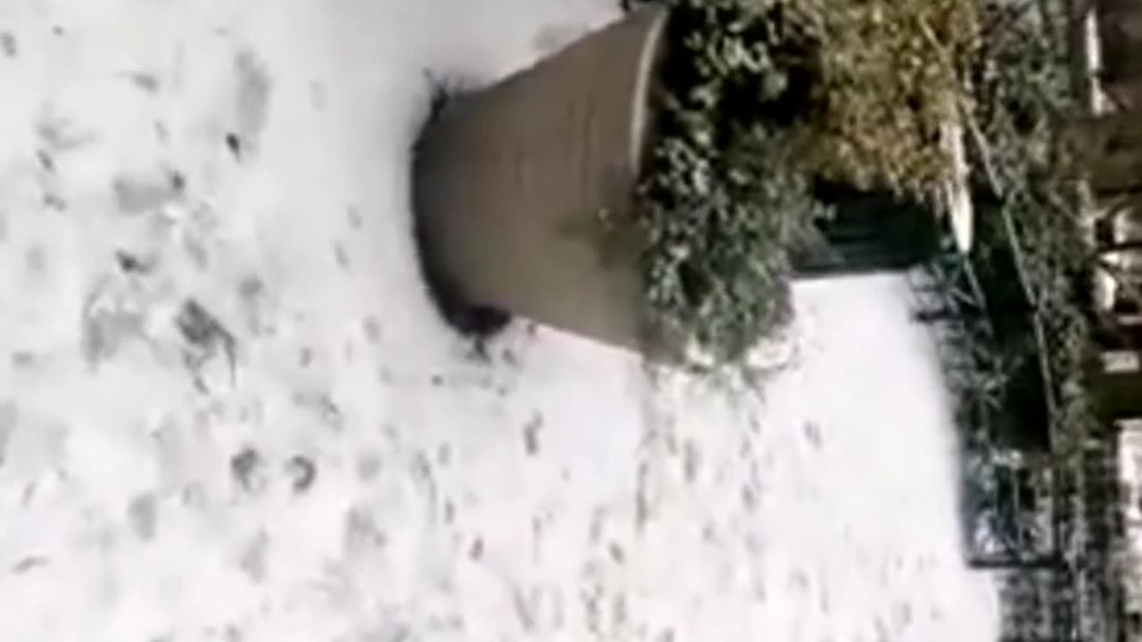 excuse to join up and get on their code.