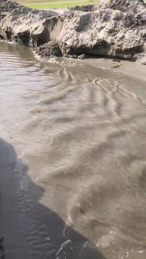 Emergencia ambiental en El Laguito