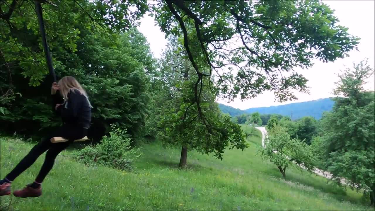 A Dog Watching The Girl Swing On A Tree