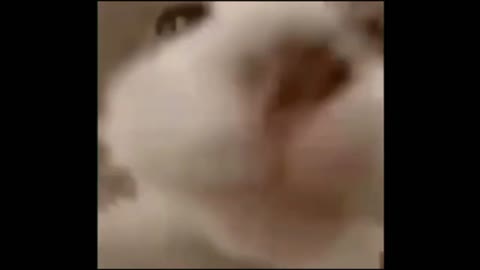 Dumb Stuff From The INternet