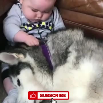 For More Curg & Funny Video