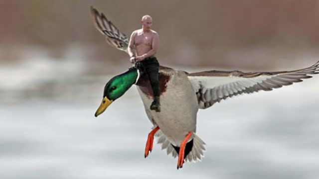 5 Funny news about Putin