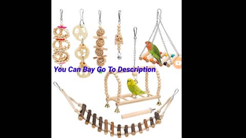 Parrot Swing Hanging