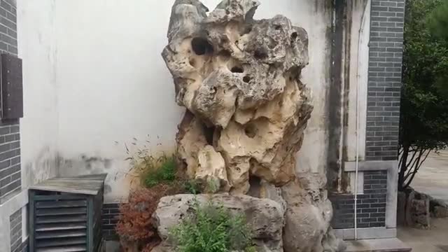 This rockery is covered with plants