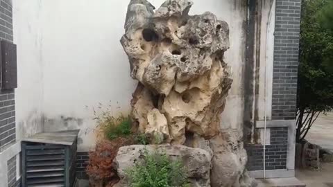 This rockery is covered with plants