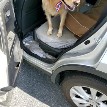 Charleigh the Golden Magadragtheinterstatepa