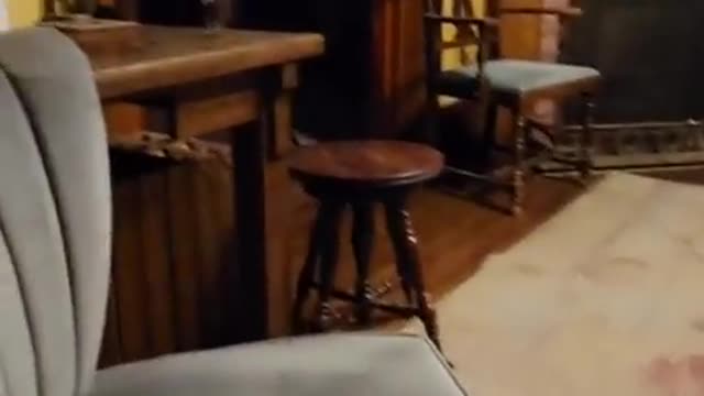 Dog walking around your house at night