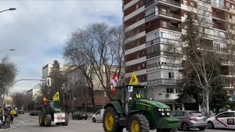 In Madrid, the largest protest of farmers is taking place, hundreds of tractors are on the