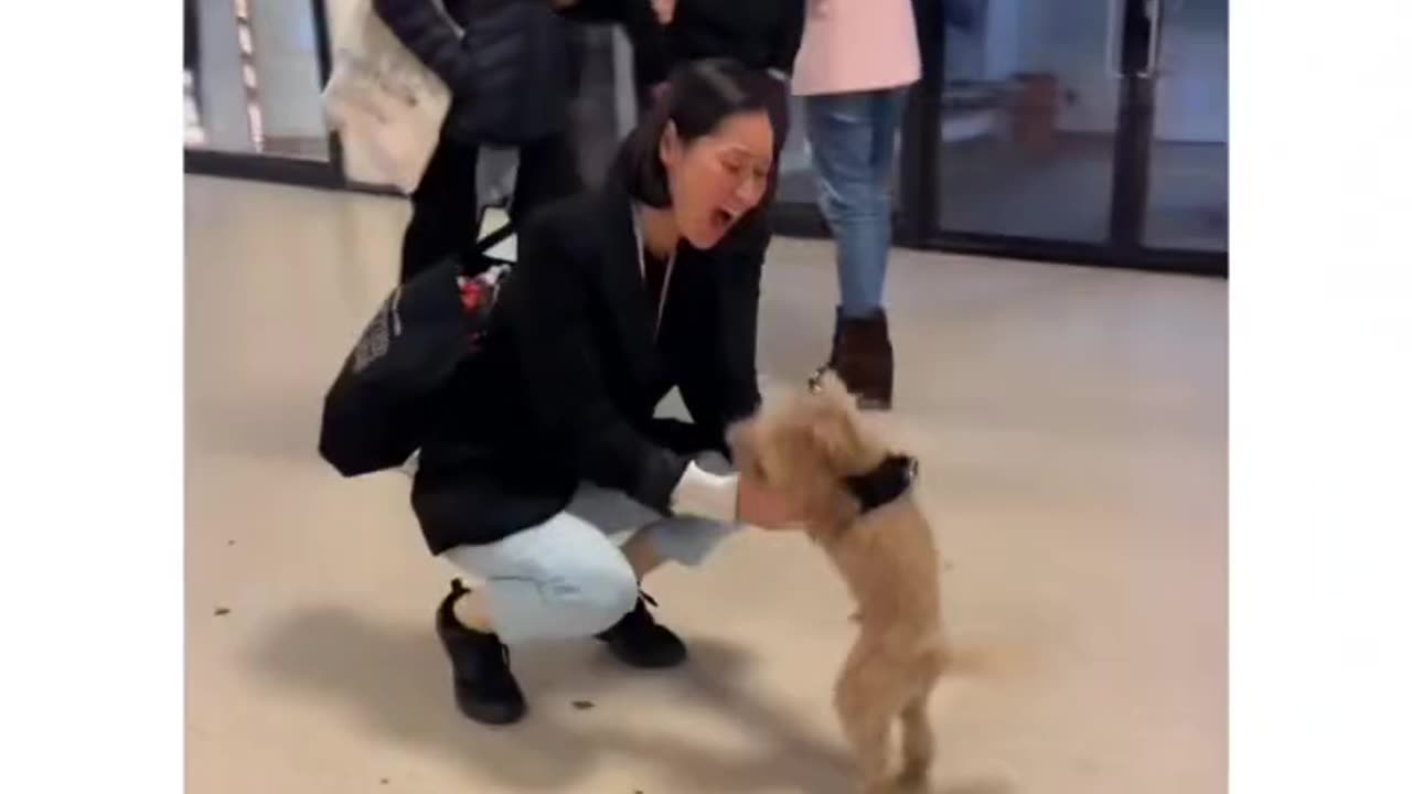 Dog loves it's human friend