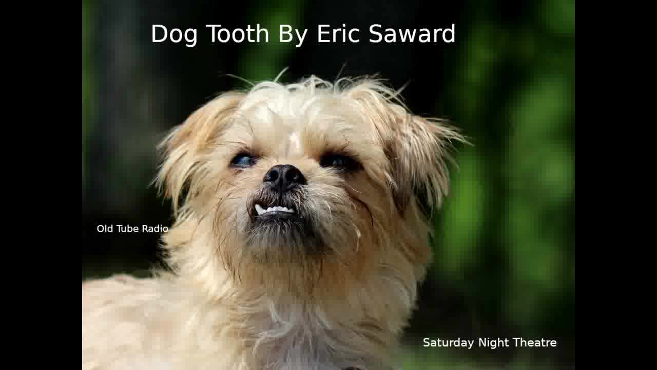 Dog tooth by Eric Saward