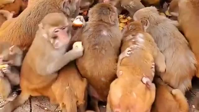 They were hungry for one second 🤣🤣🤣🤣🤣🤣