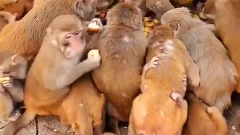 They were hungry for one second 🤣🤣🤣🤣🤣🤣
