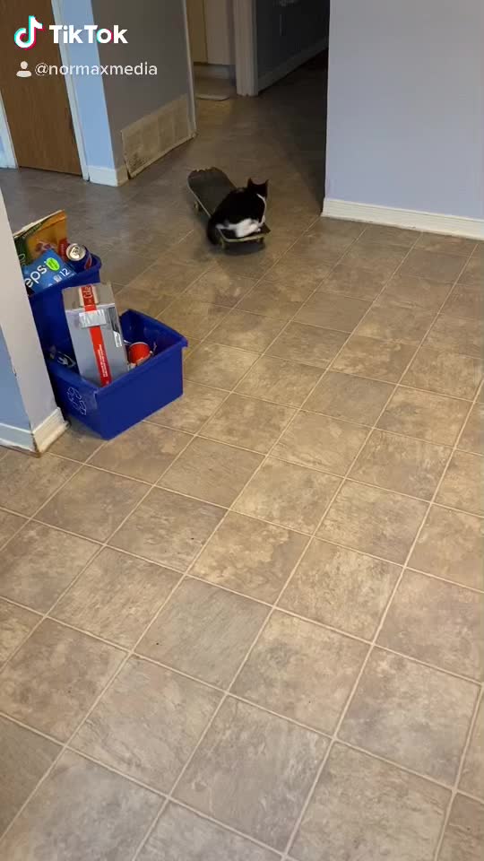 They’re learning. Almost there lol.