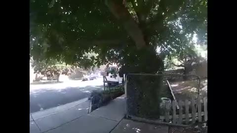 A wild Karen
