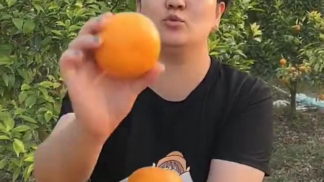 Farm Fresh Ninja Fruit Cutting Desi Satisfying Fruit Ninja Fruit Ideas | Amazing Fruits Video