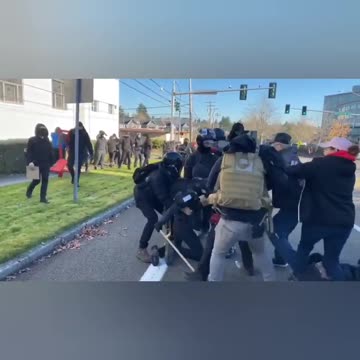Protesters in Portland