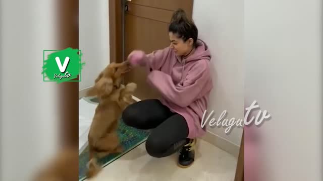 Actress Rashmika Mandanna Playing With Her Pet Dog | Rashmika Mandanna Viral Videos