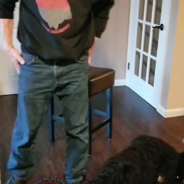 Roxy slow motion shaping the Heel