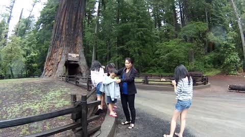 KaraBand Cali Redwood Park Visit 2013