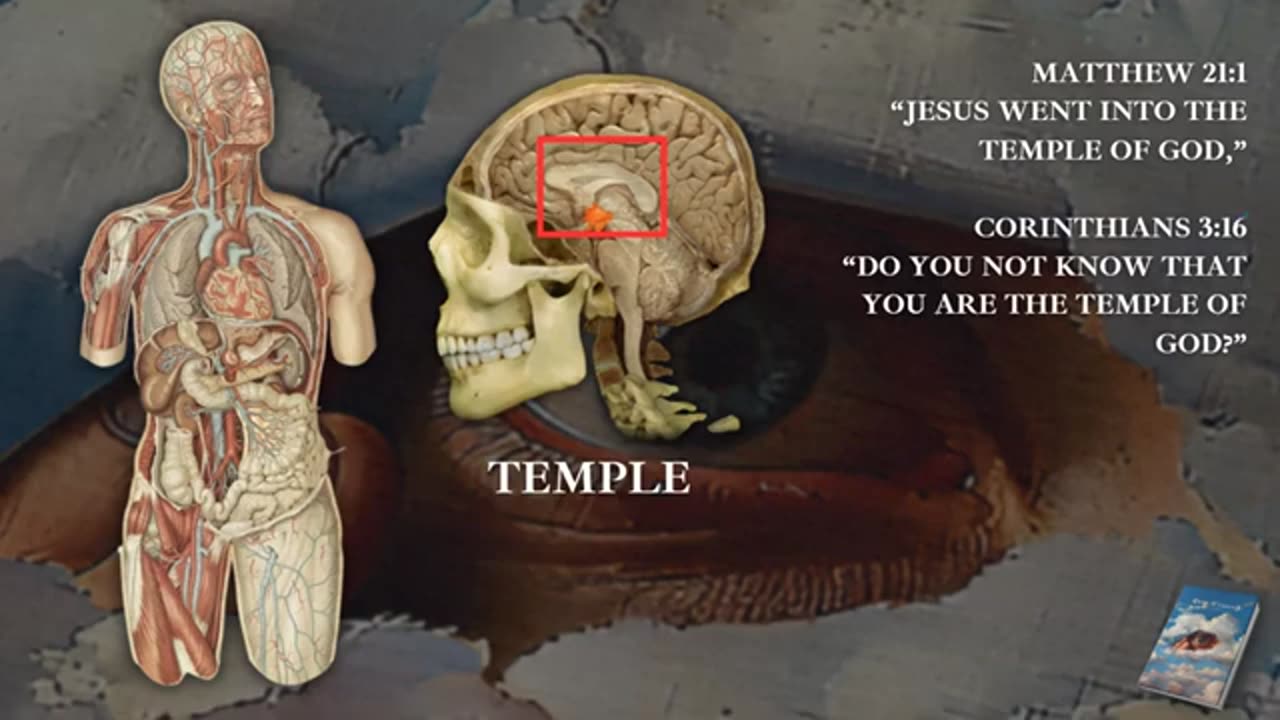 Unlocking The HIDDEN Truths Of The Bible (Revival Of Wisdom) (Occult Lecture)